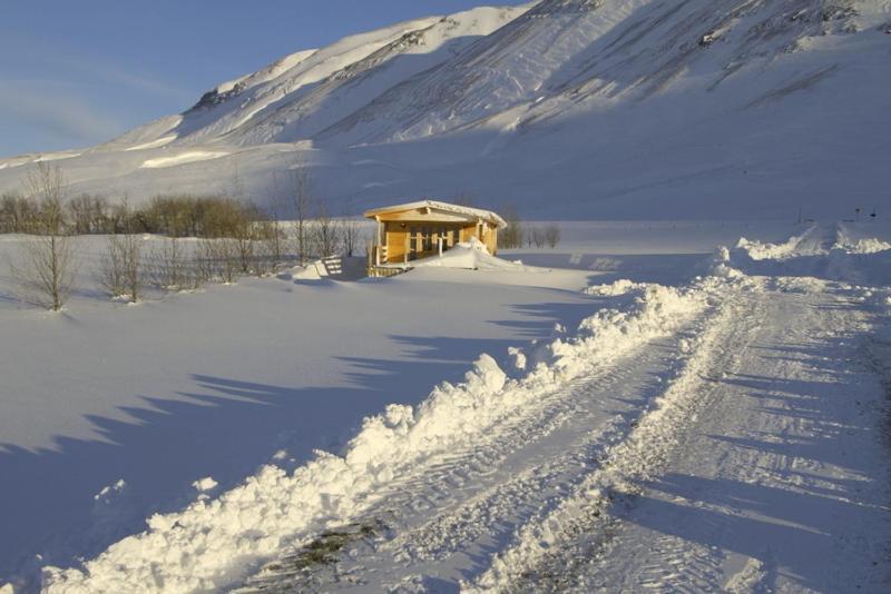 Artun Guesthouse Стая снимка